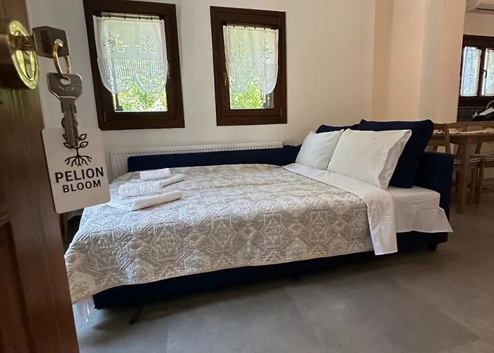 Διαμέρισμα Pelion Bloom Ζαγορά
