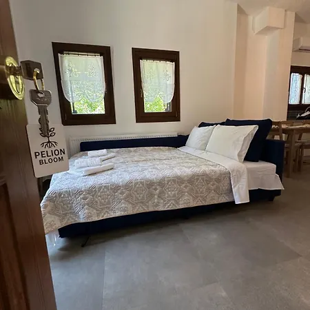 Апартаменты Pelion Bloom Загора